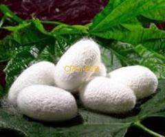 Silk Protein Cas No.: 96690-41-4